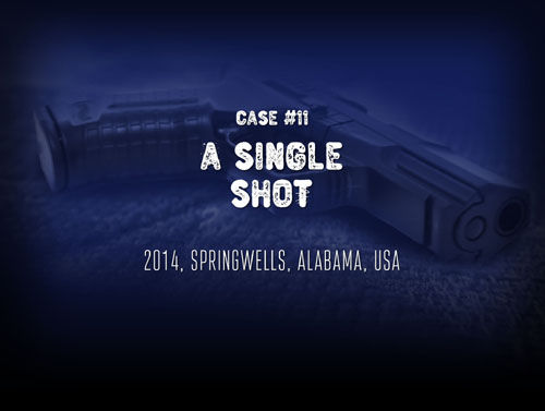 A Single Shot - detective game online