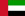 United Arab Emirates detective game