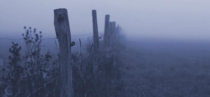 New feature - ask a question - online unsolved cold cases game