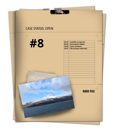 A Very Cold Case - online detective game - open case